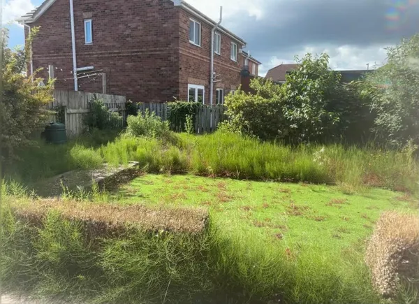 Garden clearance and maintenance project