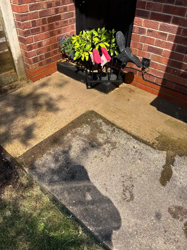 Expert garden maintenance and waste clearance