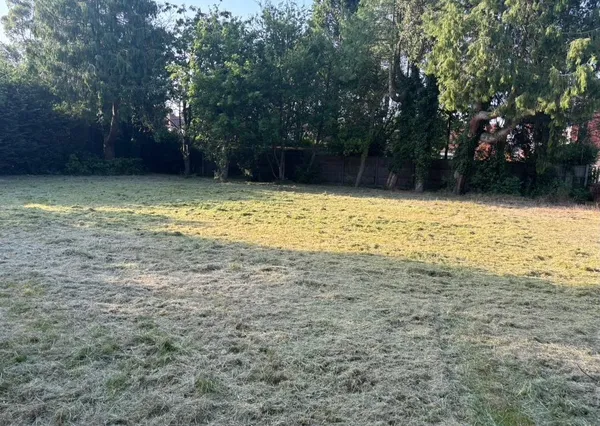 Lawn care, strimming, and hedge trimming