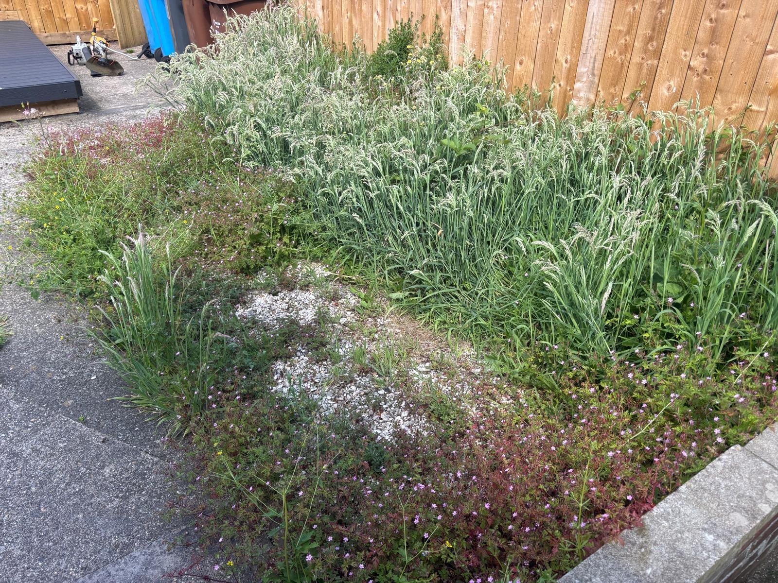 Lawn care, strimming, and hedge trimming